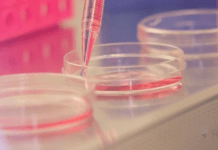 Connecting Research to Reality: How an organization hopes to revolutionize consumption of research inside and outside the classroom Photo: Lab experiment, pink liquid, dishes, dropper