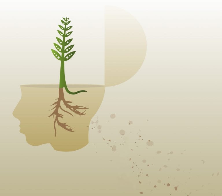 Illustration of a tree growing in a human mind. Credit: Kimberly Vohsen/freeimages.com